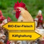 Bio Produkte