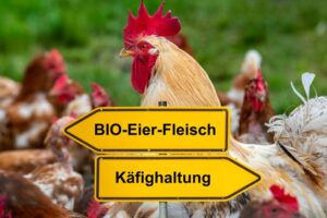 Bio Produkte